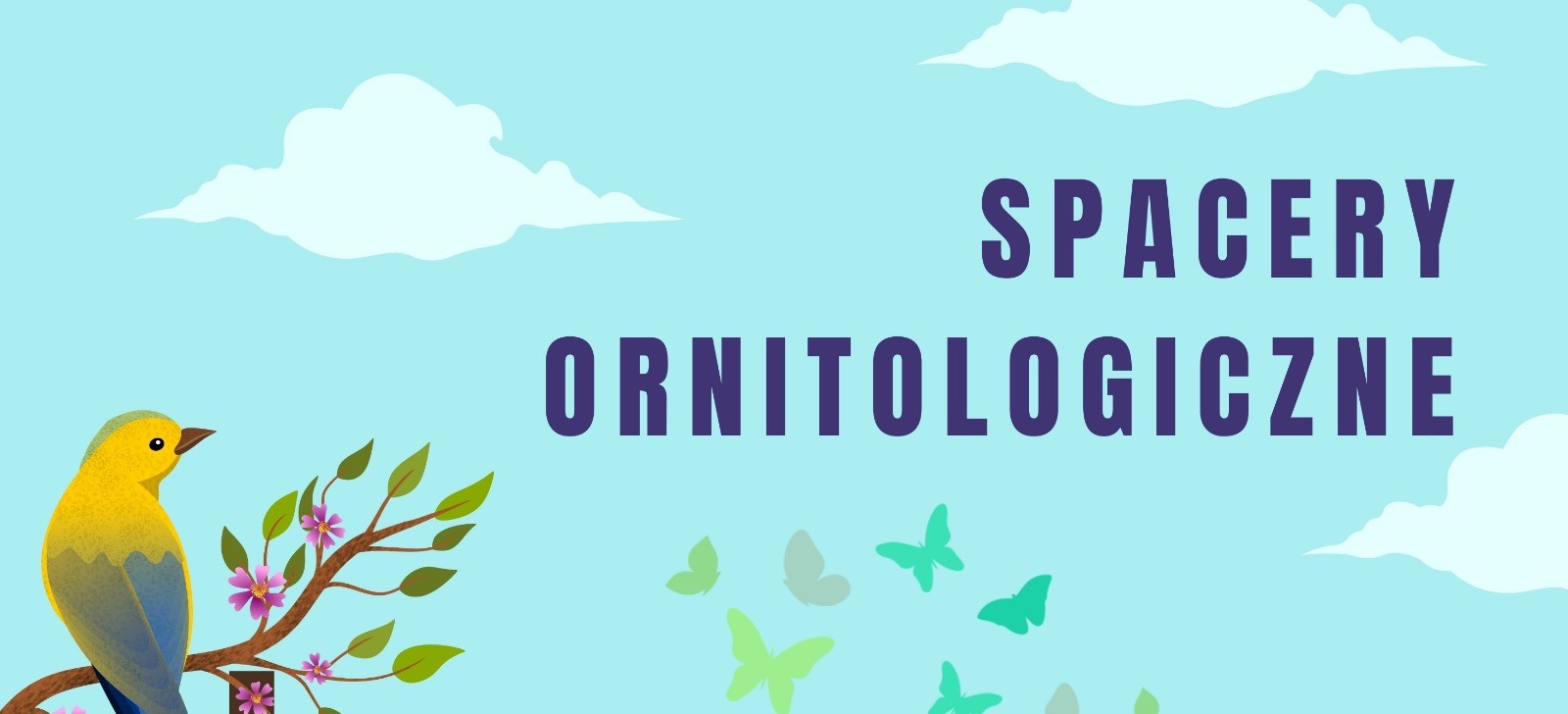 Spacery Ornitologiczne 20.04.2024